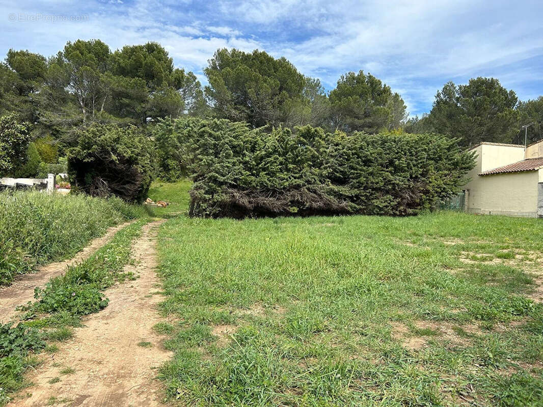 Terrain à FONTVIEILLE