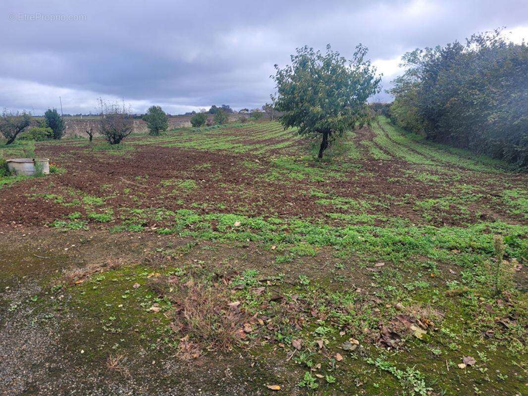 Terrain Saint Martin De Fraigneau 3000 m2 - photo 3