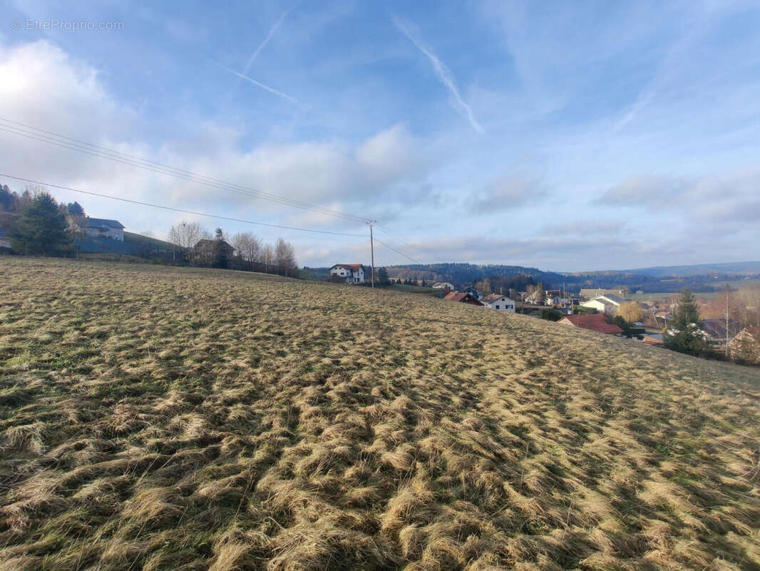 IMG_20240202_155222 - Terrain à LE VAL-D'AJOL