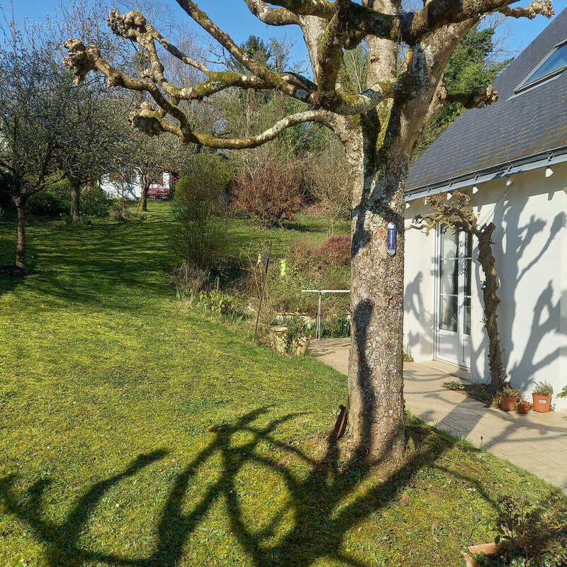 Maison à VOUVRAY