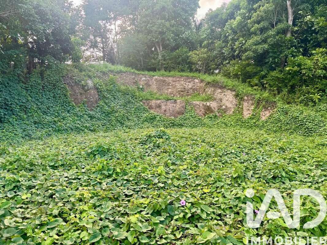 Photo 2 - Terrain à LES ABYMES