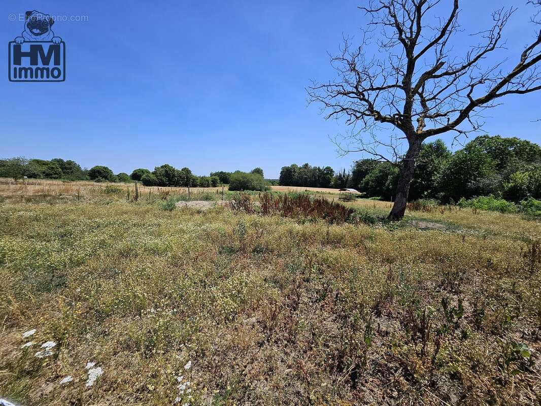 Maison 280 m² à Angoisse  - photo 7
