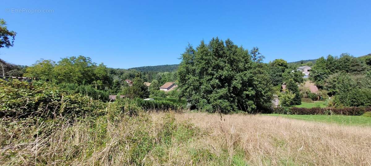 Terrain 1528 m² à Saint-Die-Des-Vosges  - photo 5