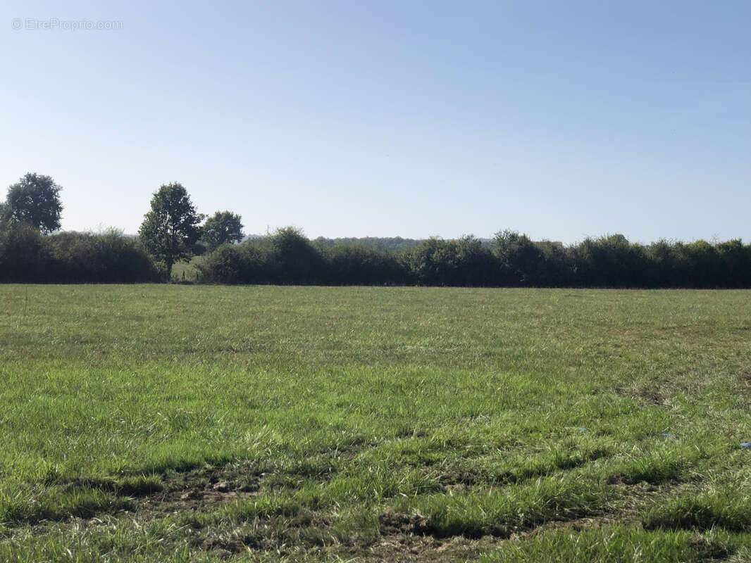 Terrain à LE COTEAU