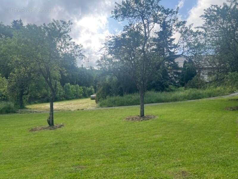 Terrain à HABERE-POCHE