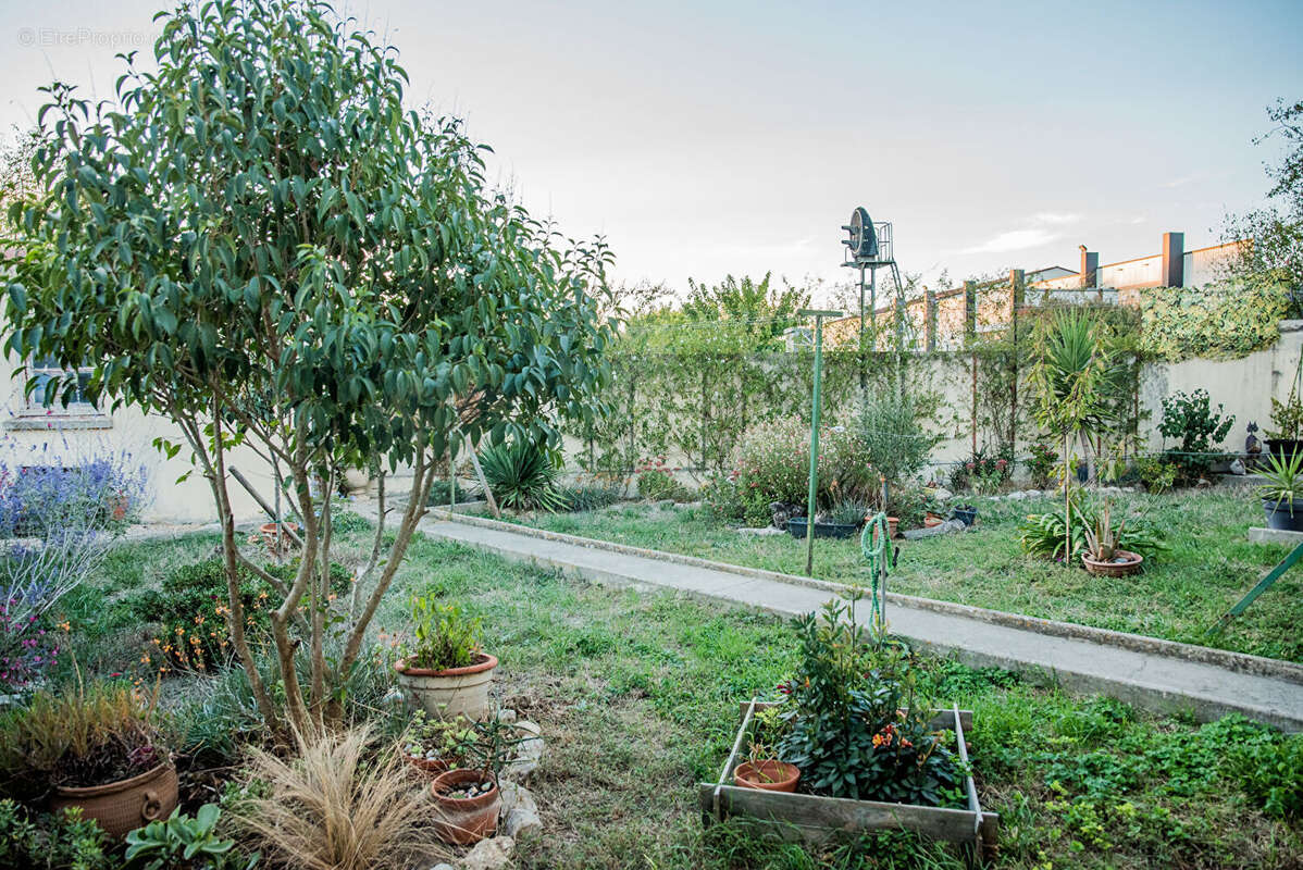 Maison à CARCASSONNE