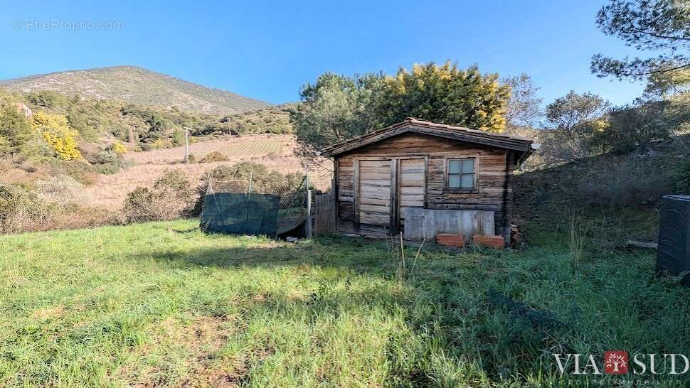 Arrière Pays, Belle villa languedocienne avec studio indépendant - photo 3