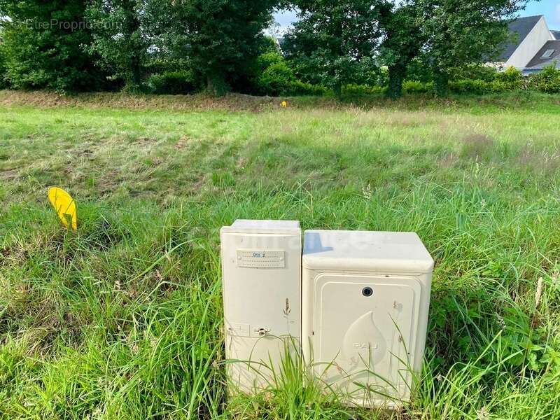 Terrain à LA TRINITE-SURZUR