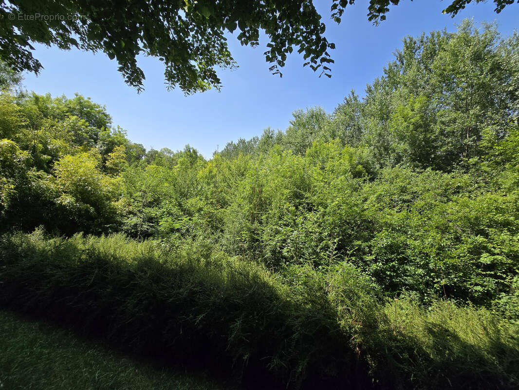 Terrain à CHATILLON-SUR-INDRE