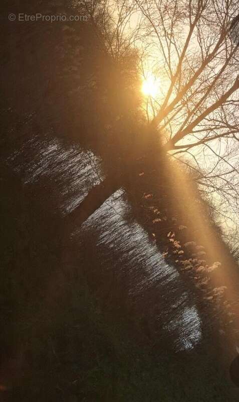 Photo 3 - Terrain à CAPPELLE-BROUCK