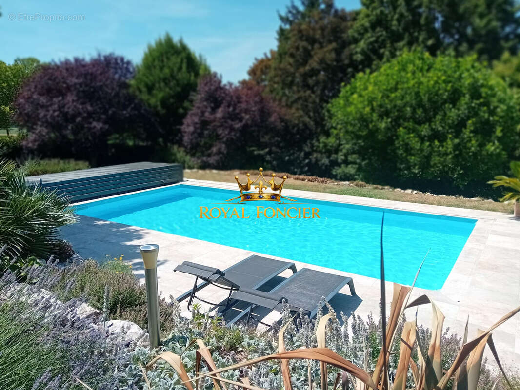 Piscine (10 m X 5 m) avec dôme  - Maison à CHATELLERAULT
