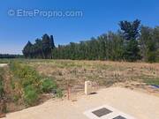 Photo 1 - Terrain à L&#039;ISLE-SUR-LA-SORGUE