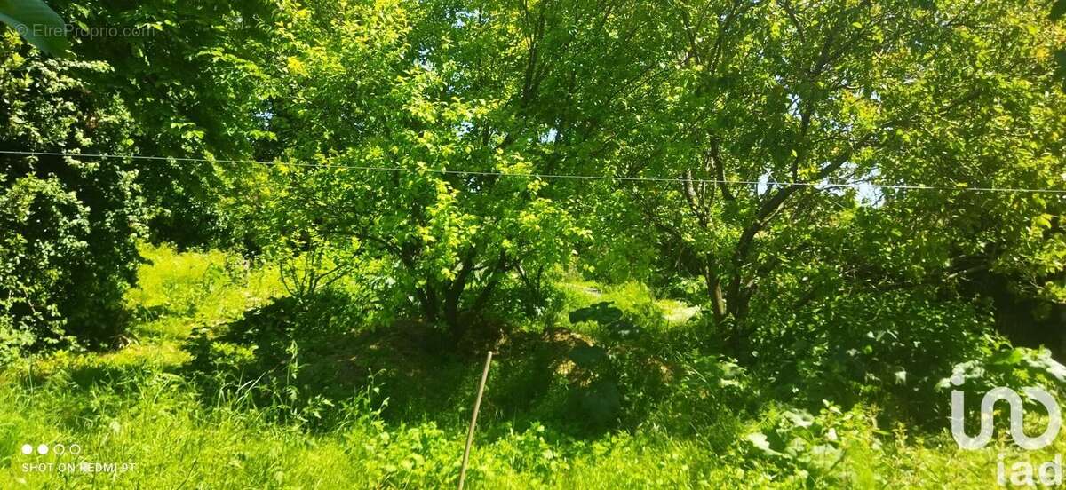 Photo 4 - Terrain à BOURGNEUF