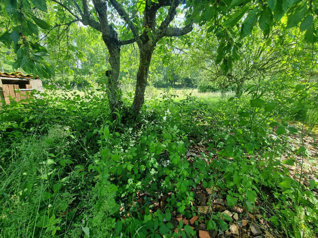Photo 4 - Maison à TOULON-SUR-ARROUX