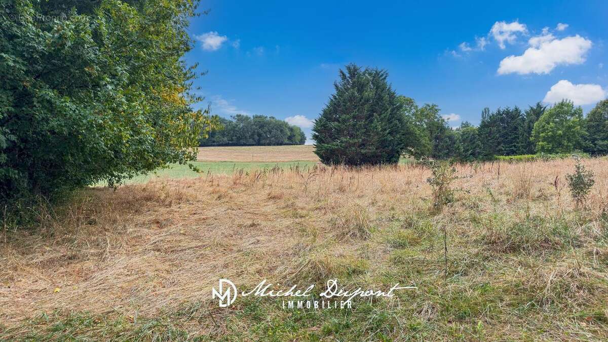 Terrain 2013 m² à Fleurac  - photo 2