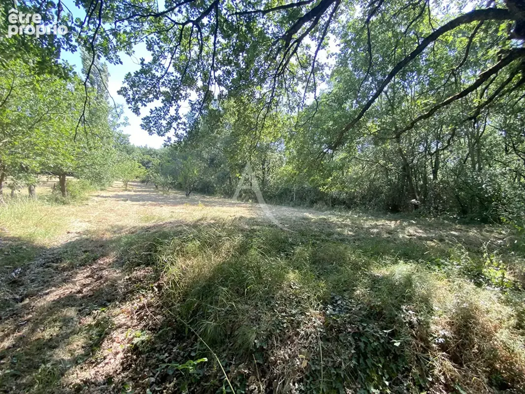 Terrain proche Castelnaudary 2663 m2 - photo 4