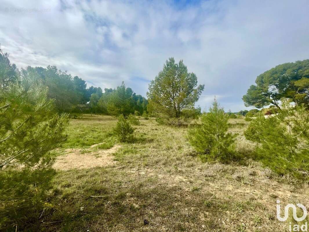 Photo 2 - Terrain à LEZIGNAN-CORBIERES