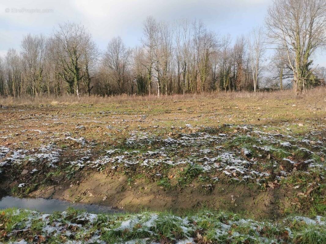 Terrain à SAINT-ETIENNE-DE-VICQ
