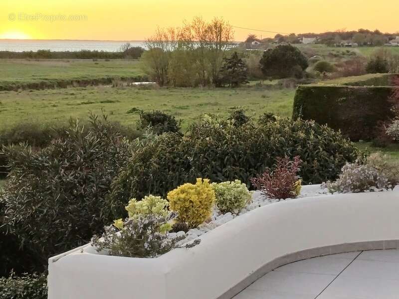 Maison à PORT-DES-BARQUES
