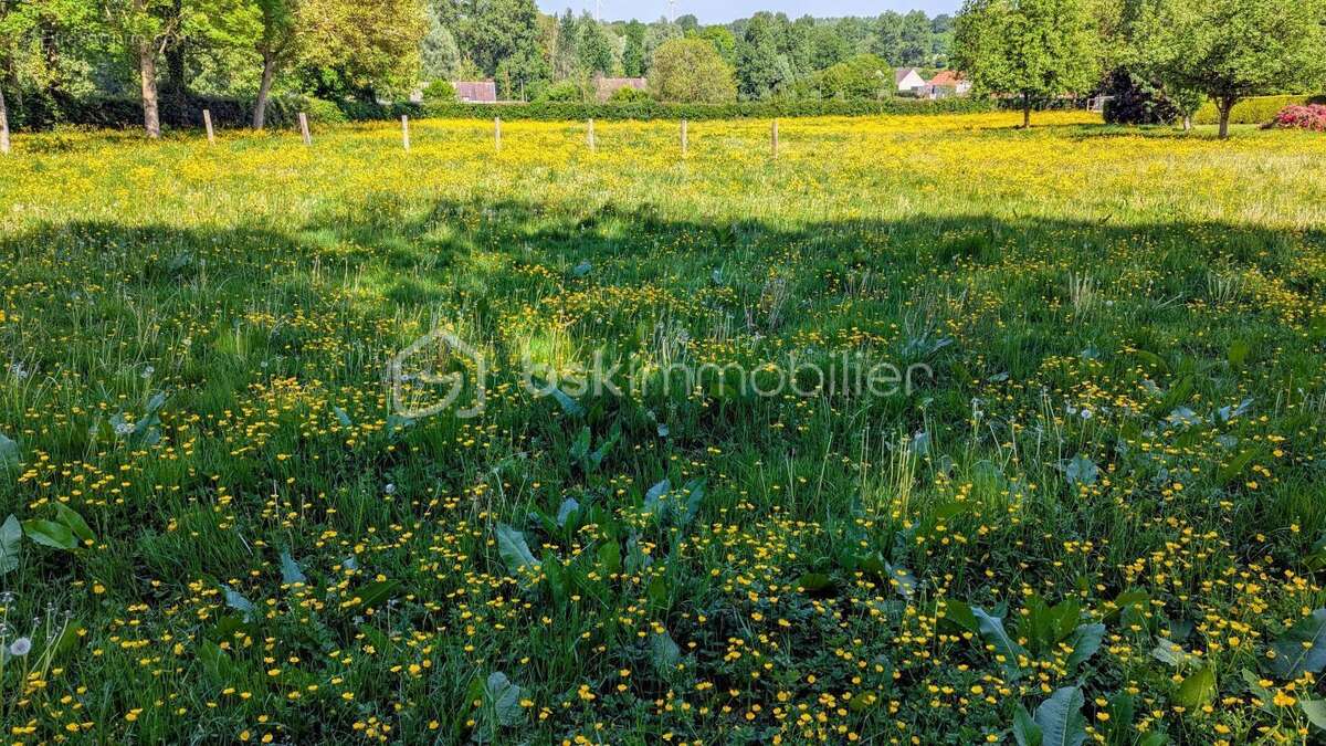 Maison à HUCQUELIERS