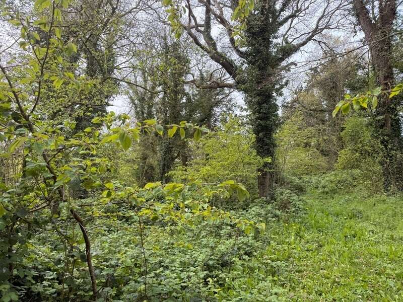 Maison à OFFRANVILLE