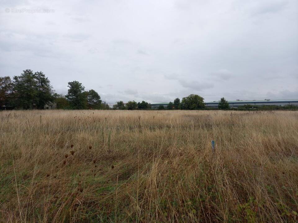 Terrain à SAINT-SULPICE