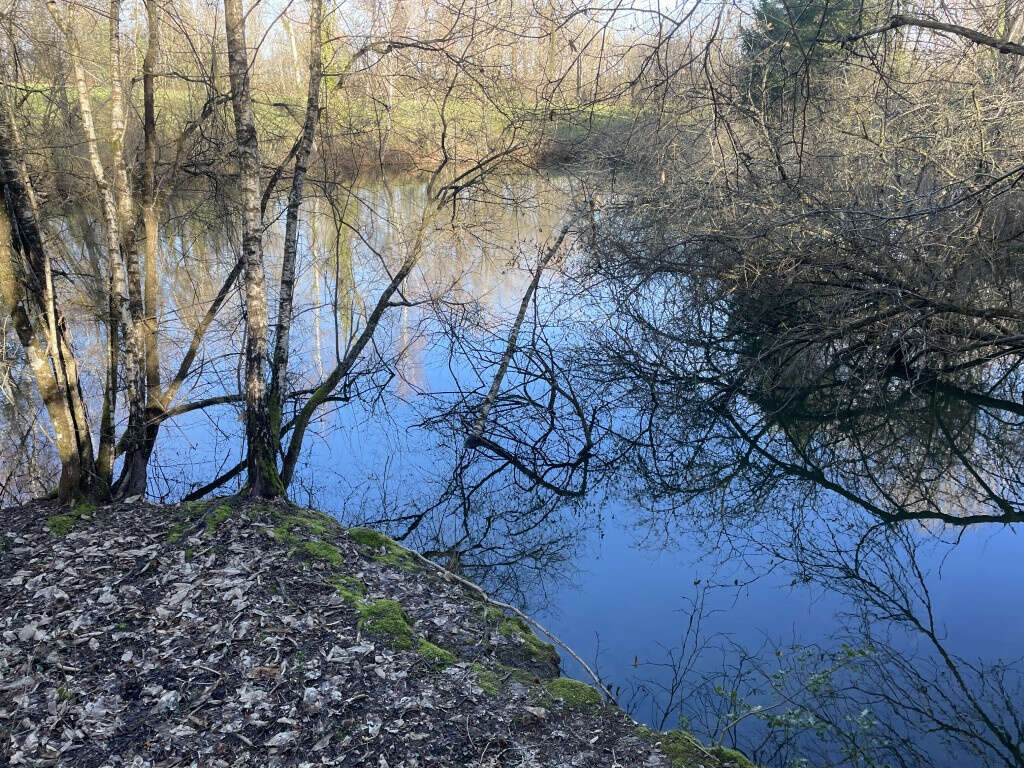 Concèze, proche du bourg, étang 2000 m2 aux normes - photo 5