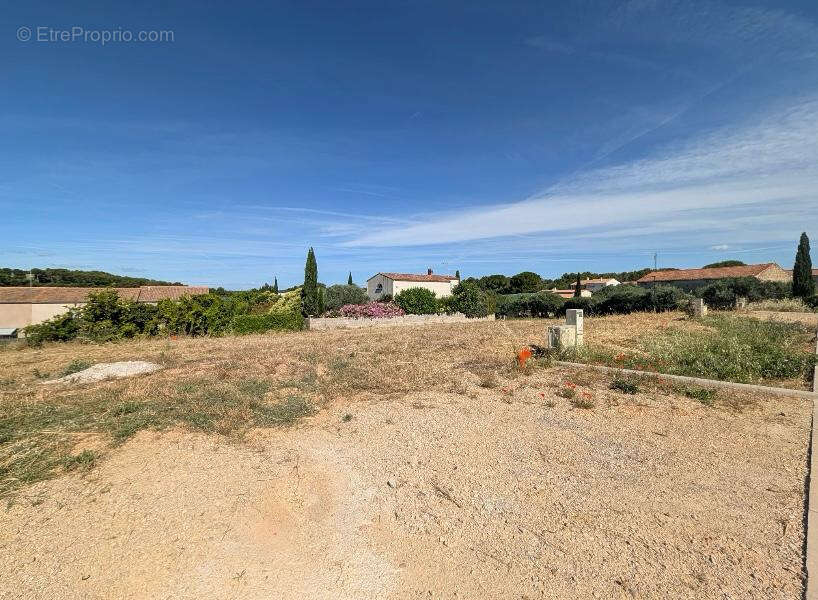 Mus-Terrain constructible viabilsé de 349 M2 Lot les terrasses de Poussilhac - photo 2