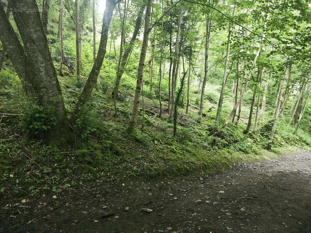 Terrain à MUTRECY