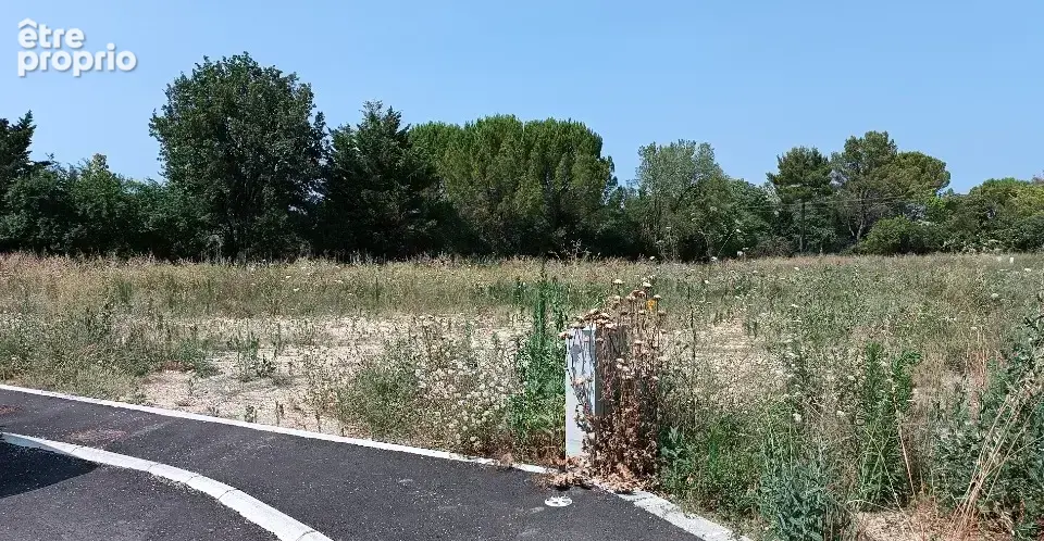 Terrain à LE TRIADOU