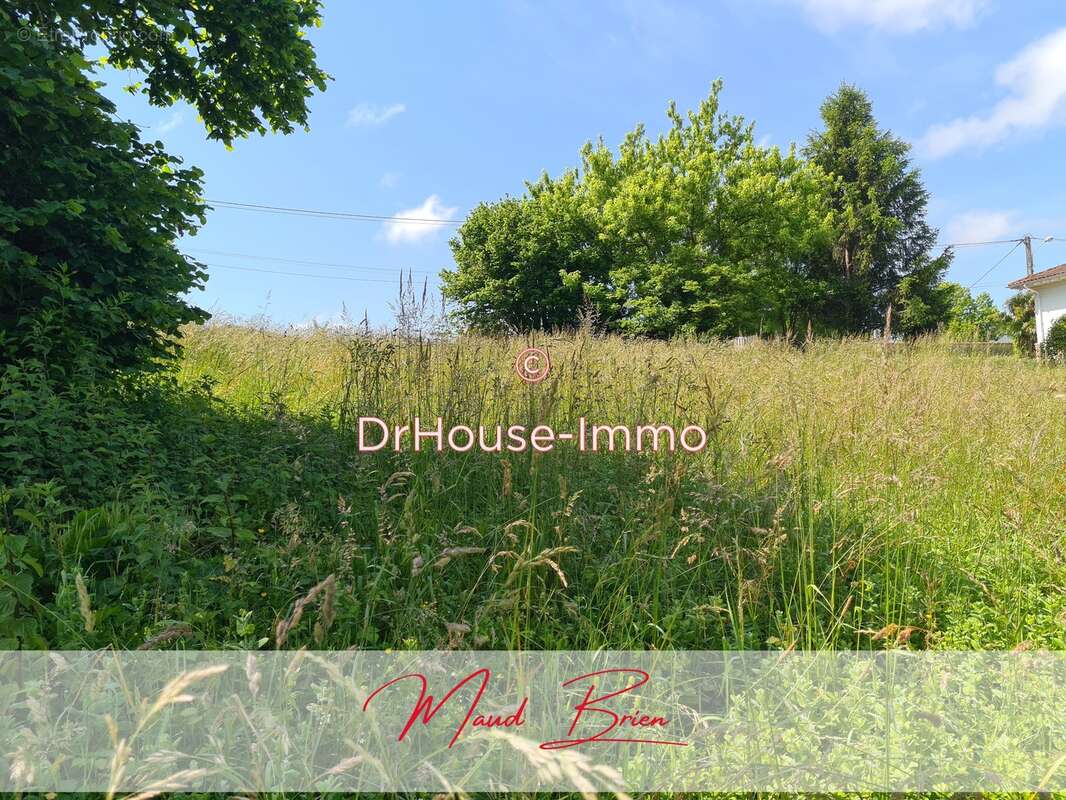 Terrain à MONTFORT-EN-CHALOSSE