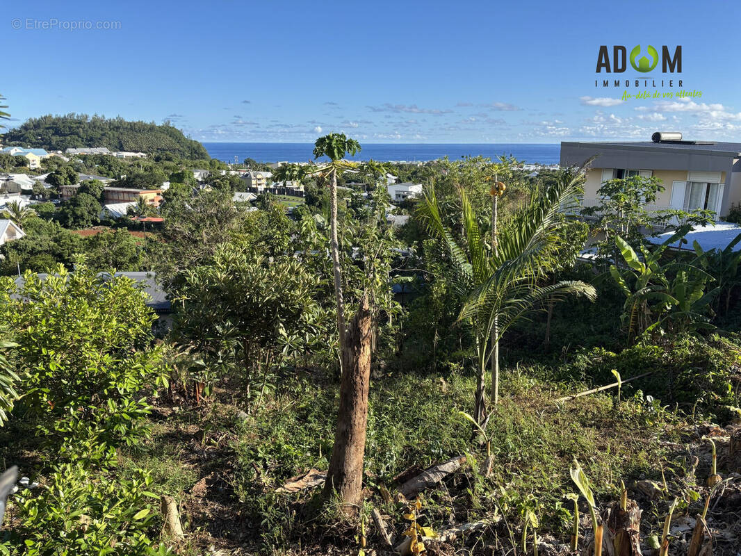 Terrain à SAINT-JOSEPH
