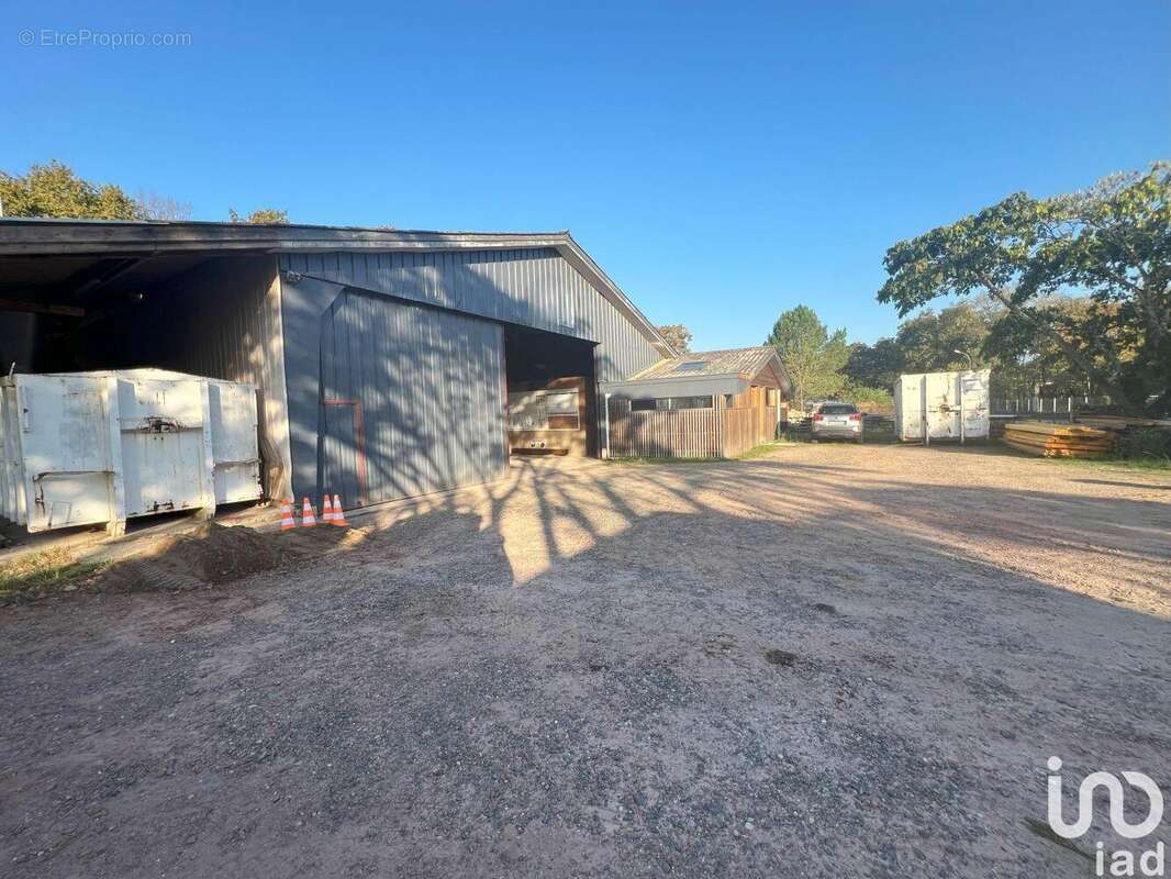 Photo 2 - Commerce à MONT-DE-MARSAN