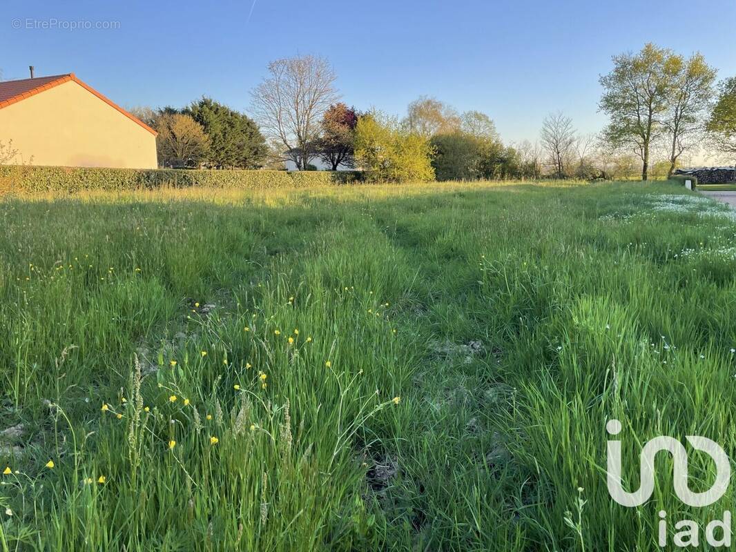 Photo 1 - Terrain à CERNUSSON