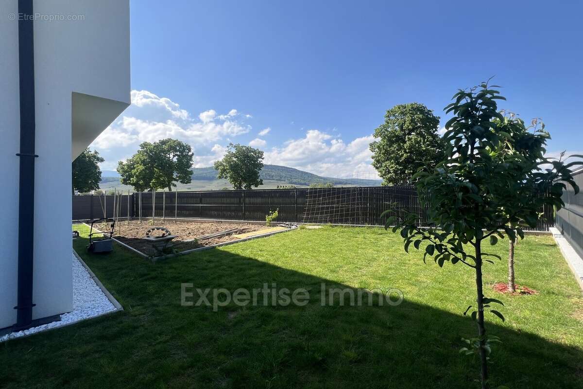 Maison 180 m² à Issenheim  - photo 5