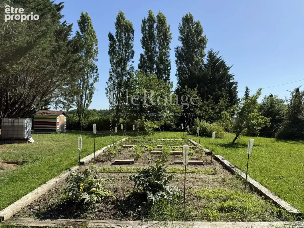 Près de Sauveterre de Guyenne - Belle maison avec gîte et piscine - photo 27
