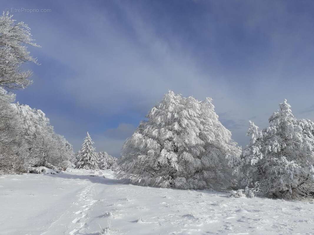 Terrain à VALLERAUGUE