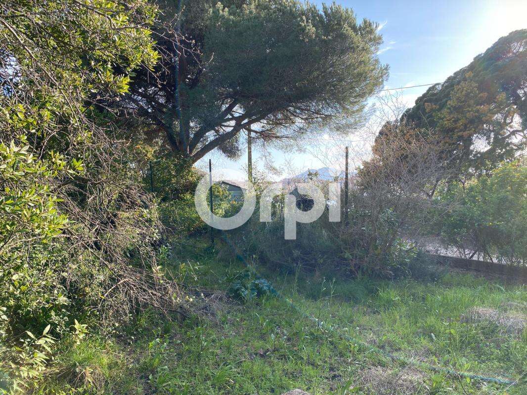 Terrain à CANNES