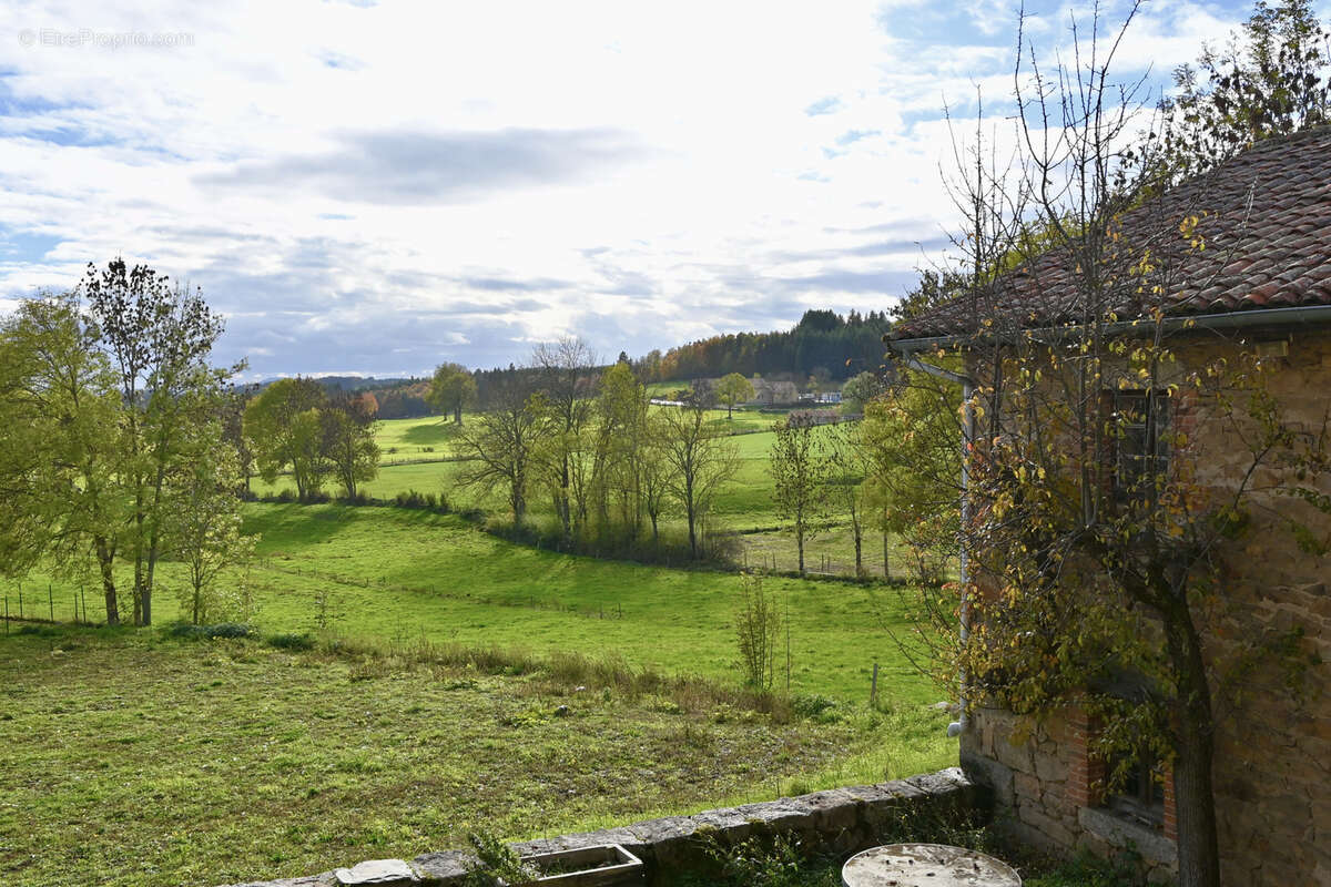 Maison à SAINT-HILAIRE-CUSSON-LA-VALMITTE