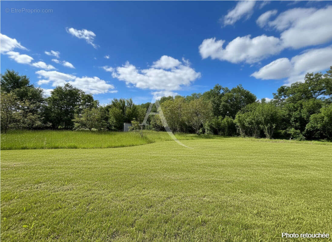 Terrain à Montdurausse de 3577 m² ! - photo 2