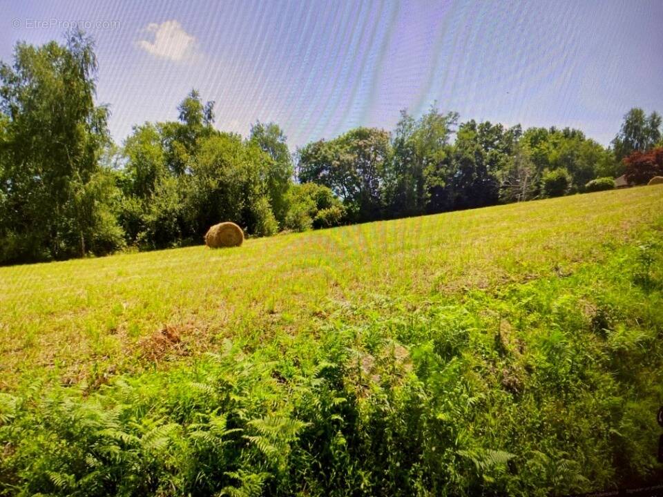 Terrain à LHEZ
