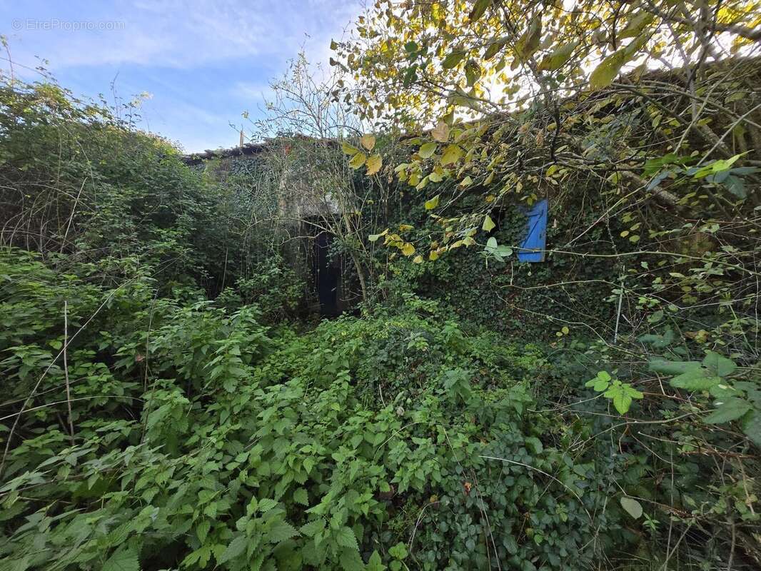 Maison à SAINT-MARTIN-LACAUSSADE