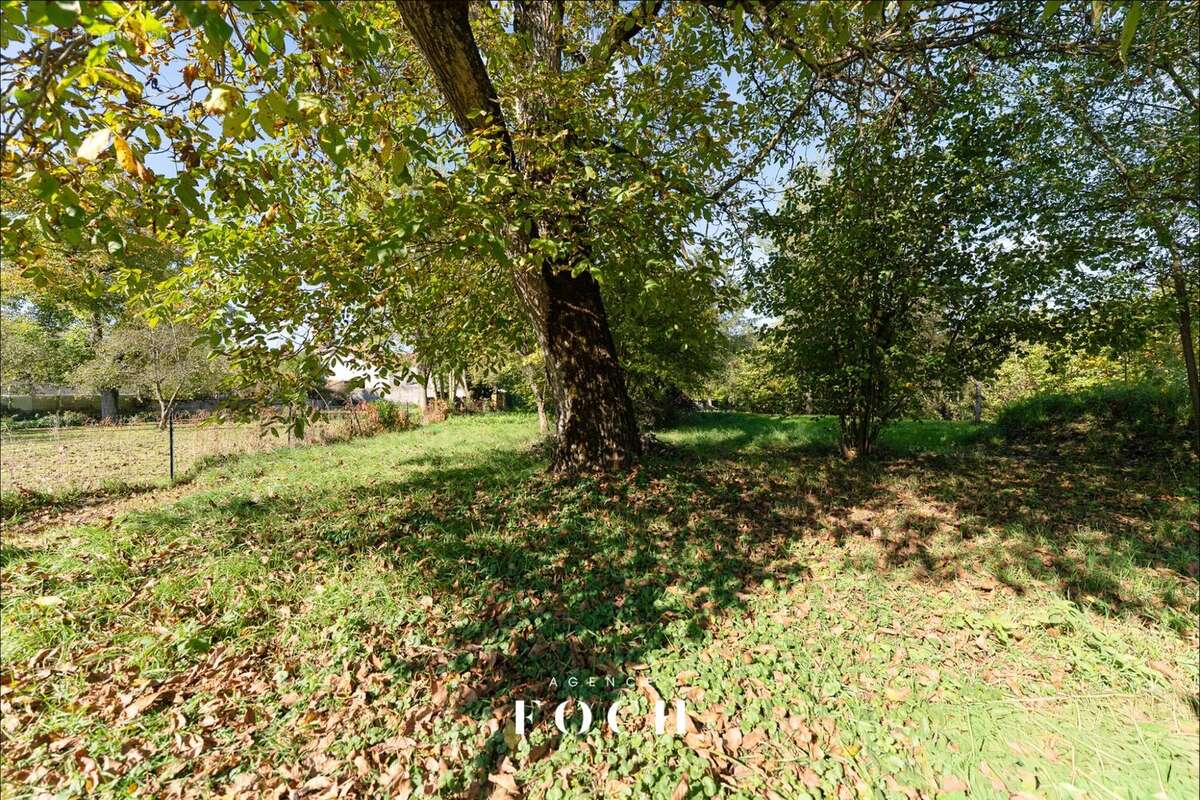 Maison 250 m² à Xirocourt  - photo 3