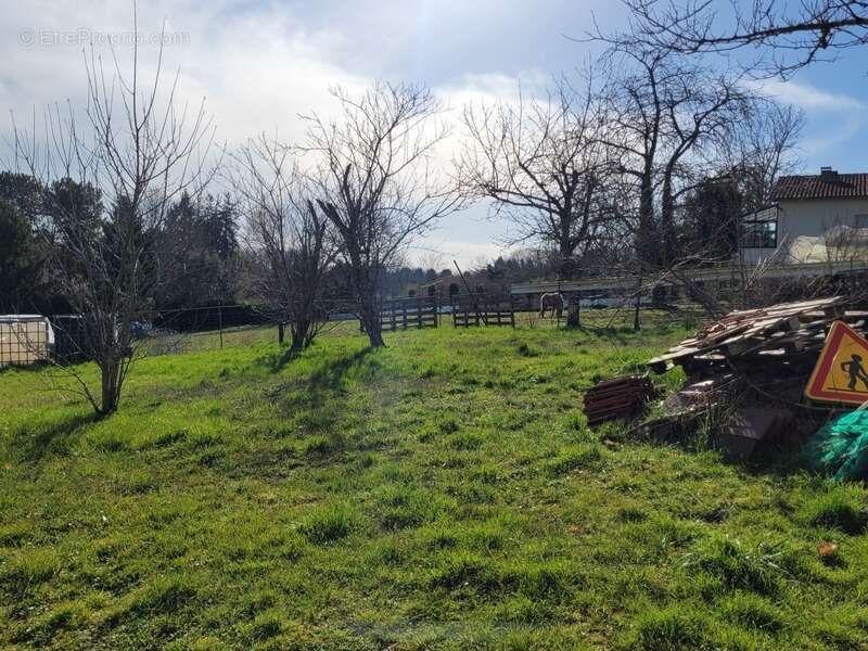 Maison à vendre 7 pièces SAINTE ALVERE (24) - photo 3