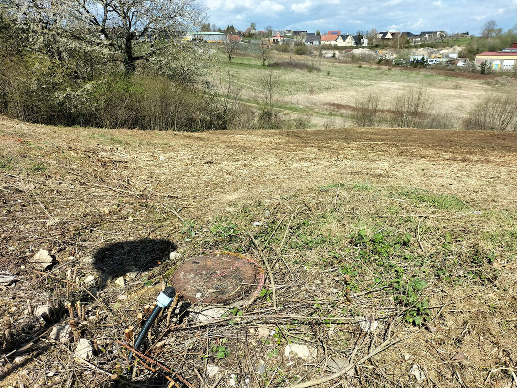 Terrain à FERRETTE