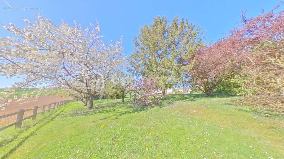 Maison à THORIGNY-SUR-OREUSE