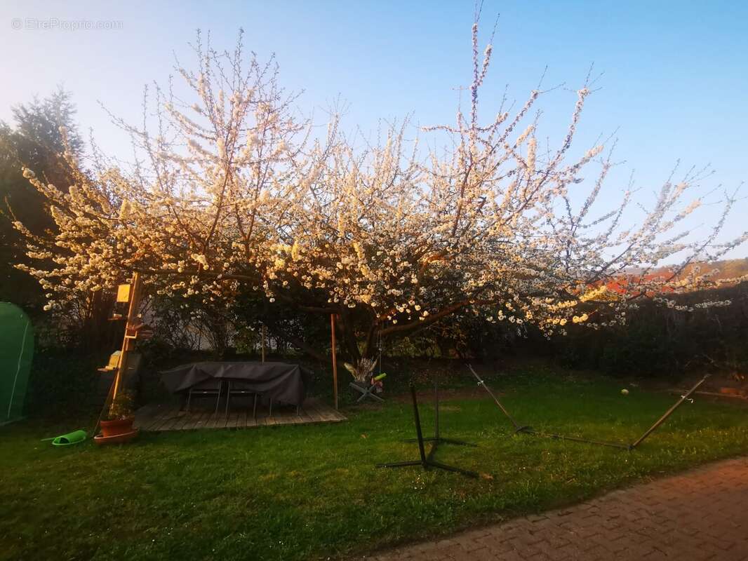 Maison à PERIGNAT-LES-SARLIEVE