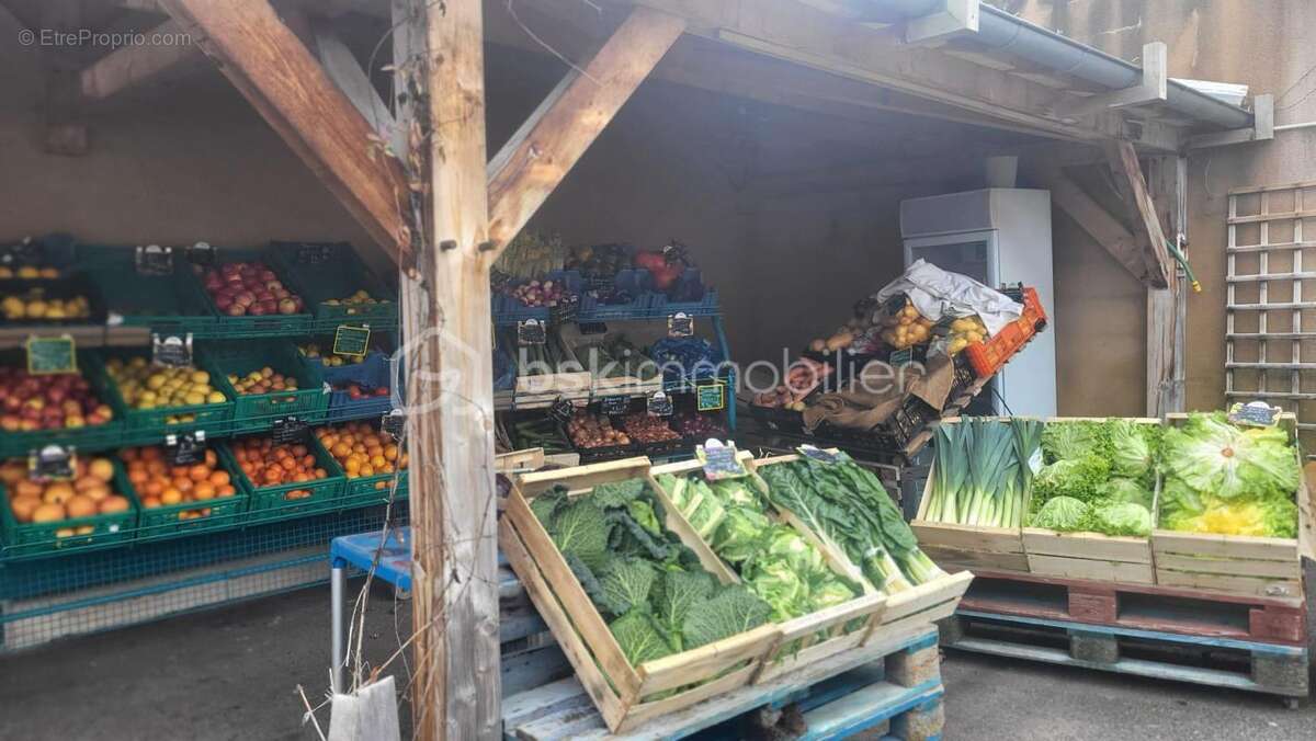 Commerce à SACHE