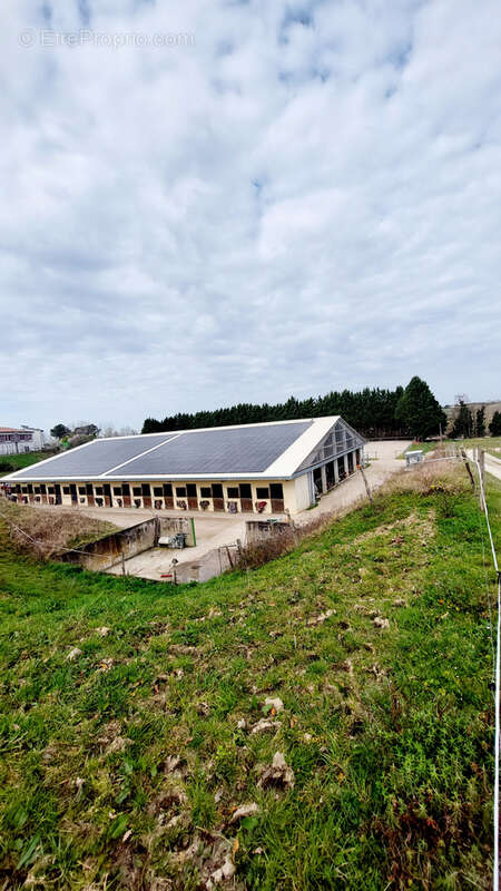 Maison à LA REOLE