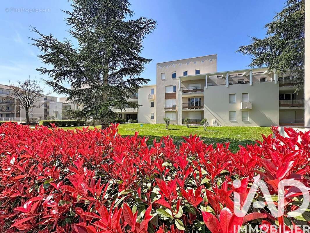 Photo 4 - Appartement à LE PONTET